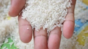 Ini Dia Obat Kutu Beras yang efektif Lindungi Gudang Penyimpanan Beras Anda