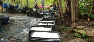 Petani Bergairah Harga Karet Naik