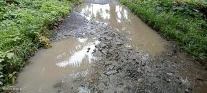 13 Tahun Tidak Tersentuh Pembangunan, Warga Desa Bandar Dalam Harapkan Perbaiki Jalan