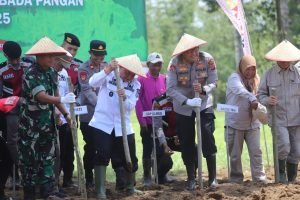 Wakil Bupati Lampung Barat Hadiri Penanaman Jagung Serentak Oleh Polri: Dukung Penuh Swasembada Pangan Nasional 2025